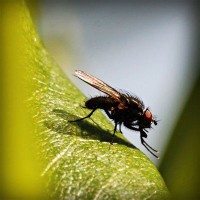 /album/marie-pierre-cuisine/photolia-a04-jpg/