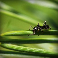 /album/marie-pierre-cuisine/photolia-a05-jpg/